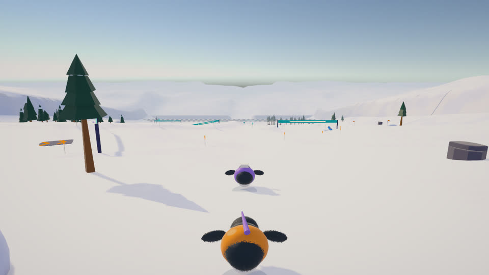 Sled Race